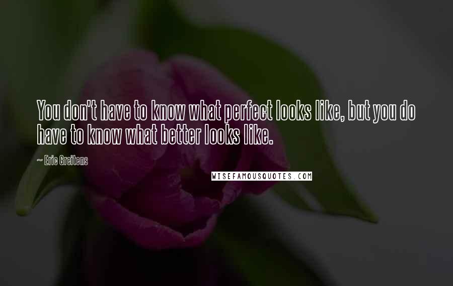 Eric Greitens Quotes: You don't have to know what perfect looks like, but you do have to know what better looks like.