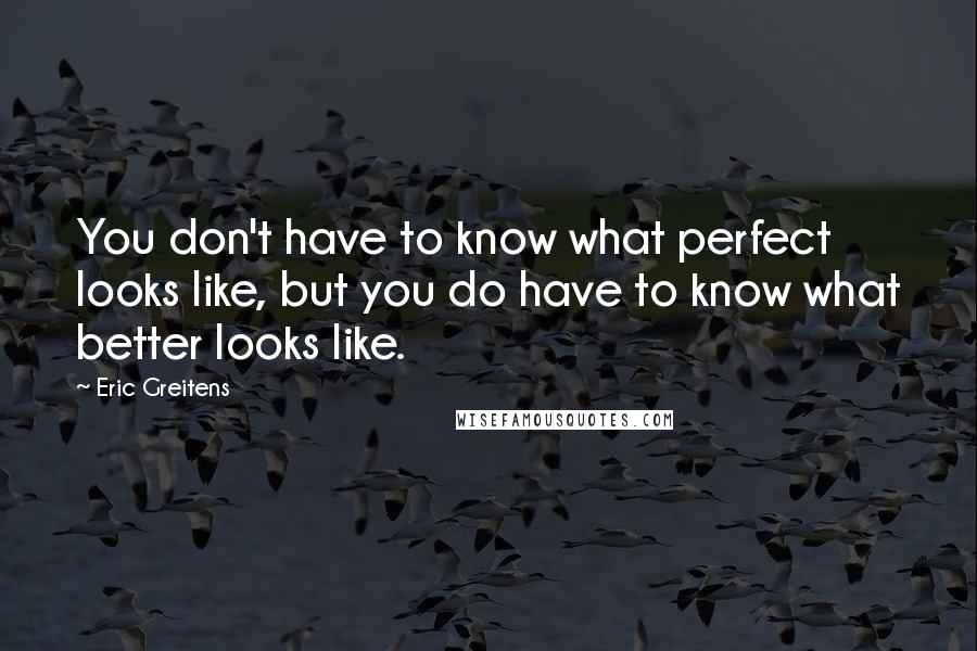 Eric Greitens Quotes: You don't have to know what perfect looks like, but you do have to know what better looks like.
