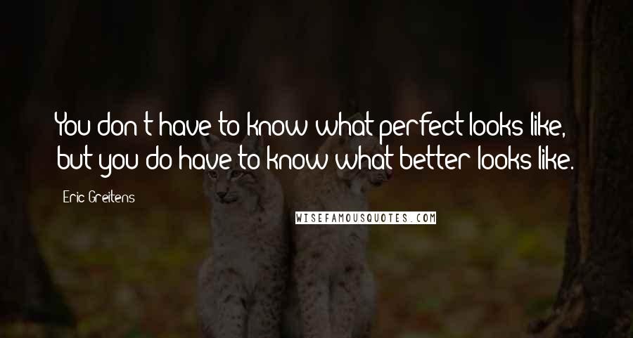 Eric Greitens Quotes: You don't have to know what perfect looks like, but you do have to know what better looks like.