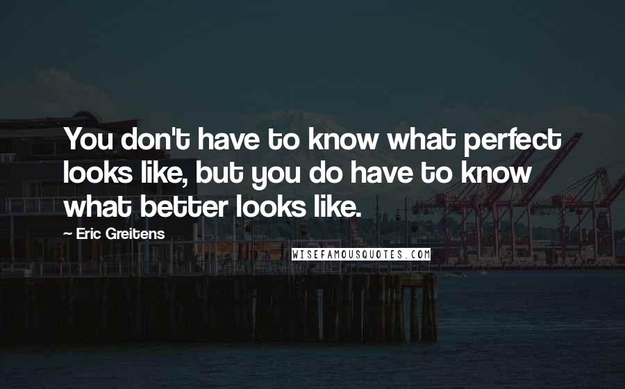 Eric Greitens Quotes: You don't have to know what perfect looks like, but you do have to know what better looks like.