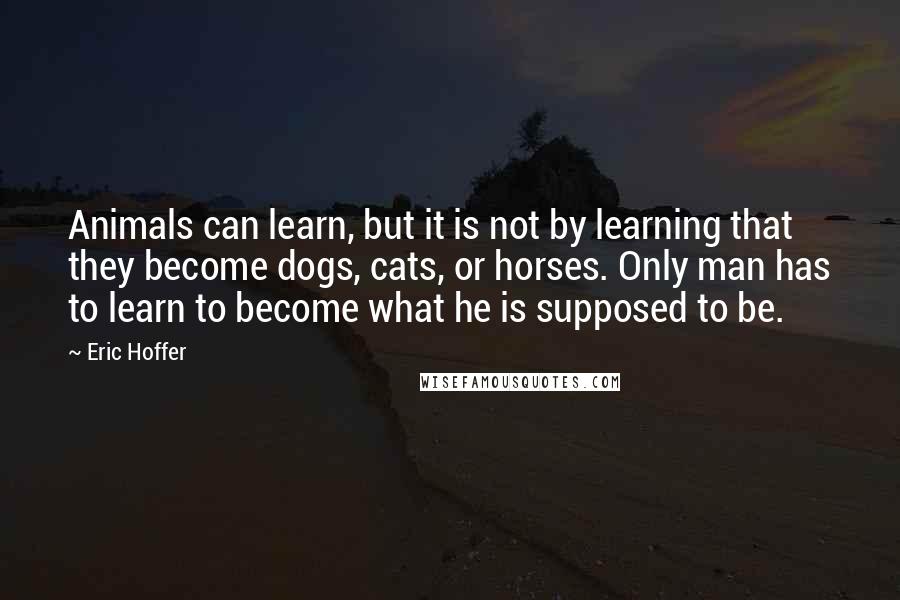 Eric Hoffer Quotes: Animals can learn, but it is not by learning that they become dogs, cats, or horses. Only man has to learn to become what he is supposed to be.