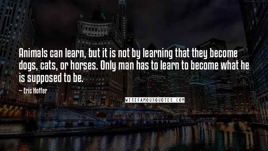 Eric Hoffer Quotes: Animals can learn, but it is not by learning that they become dogs, cats, or horses. Only man has to learn to become what he is supposed to be.