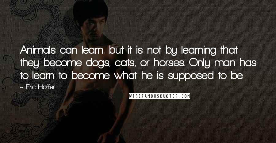 Eric Hoffer Quotes: Animals can learn, but it is not by learning that they become dogs, cats, or horses. Only man has to learn to become what he is supposed to be.