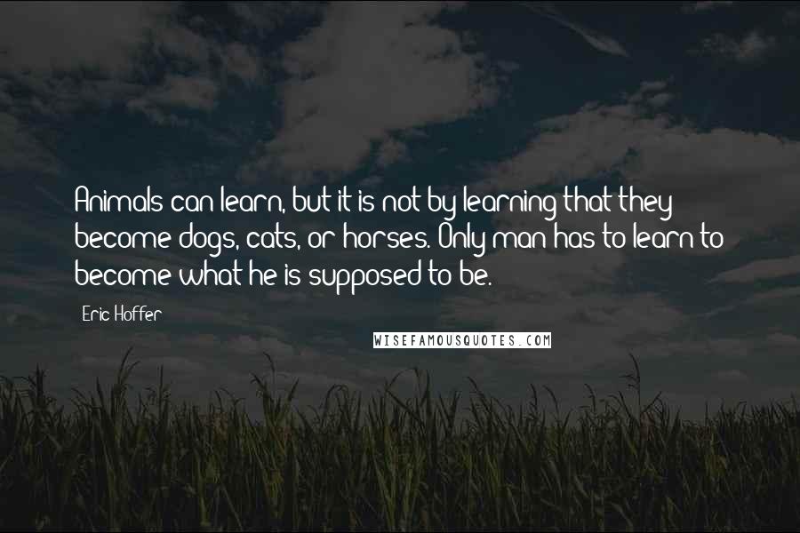 Eric Hoffer Quotes: Animals can learn, but it is not by learning that they become dogs, cats, or horses. Only man has to learn to become what he is supposed to be.