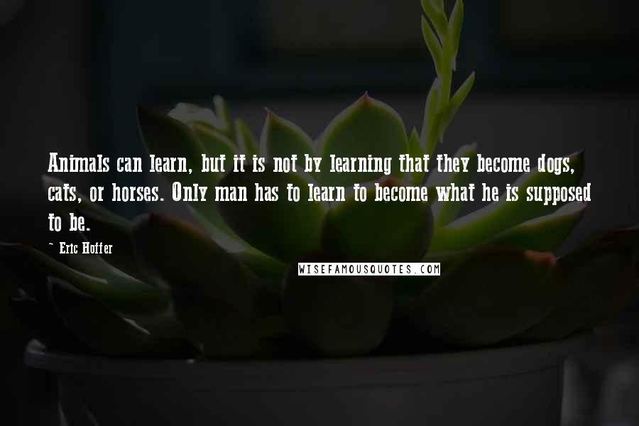 Eric Hoffer Quotes: Animals can learn, but it is not by learning that they become dogs, cats, or horses. Only man has to learn to become what he is supposed to be.