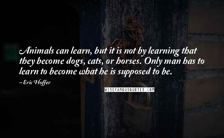 Eric Hoffer Quotes: Animals can learn, but it is not by learning that they become dogs, cats, or horses. Only man has to learn to become what he is supposed to be.