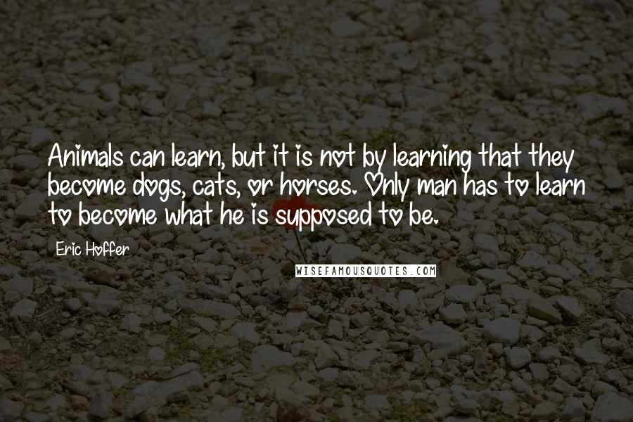 Eric Hoffer Quotes: Animals can learn, but it is not by learning that they become dogs, cats, or horses. Only man has to learn to become what he is supposed to be.