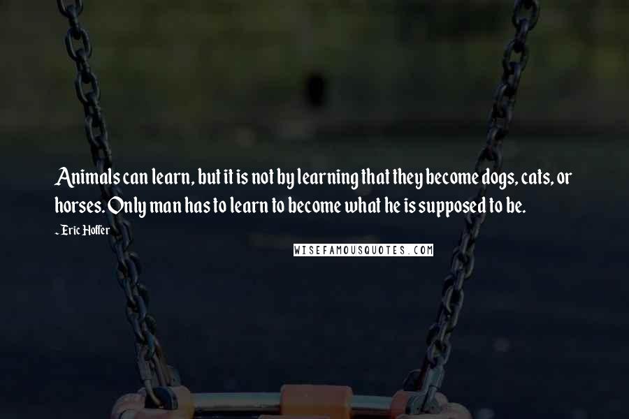 Eric Hoffer Quotes: Animals can learn, but it is not by learning that they become dogs, cats, or horses. Only man has to learn to become what he is supposed to be.
