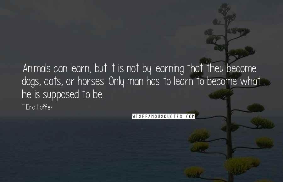 Eric Hoffer Quotes: Animals can learn, but it is not by learning that they become dogs, cats, or horses. Only man has to learn to become what he is supposed to be.