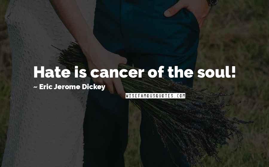 Eric Jerome Dickey Quotes: Hate is cancer of the soul!