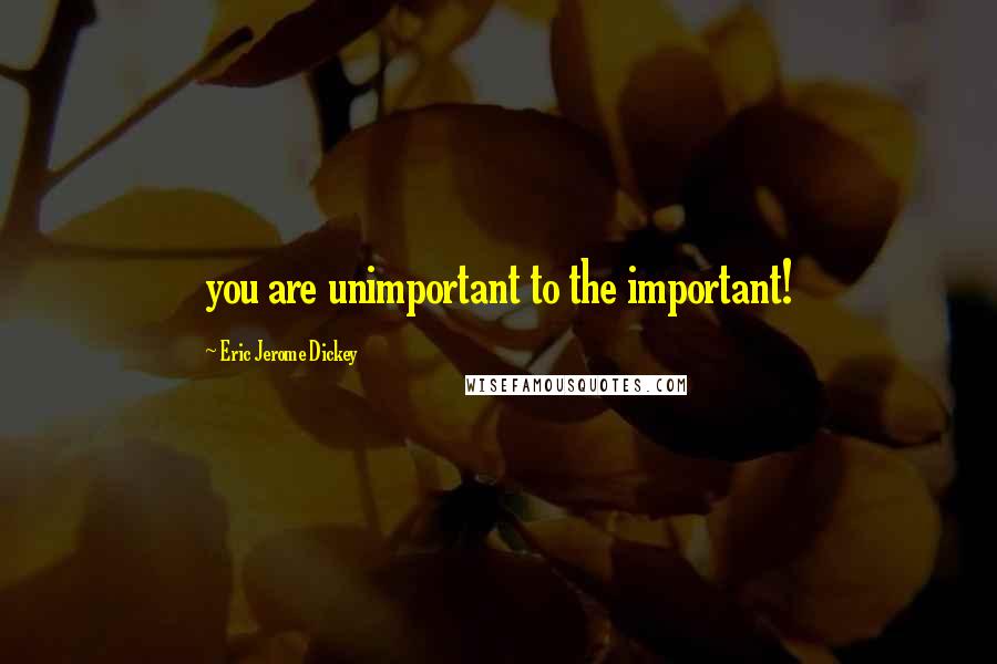 Eric Jerome Dickey Quotes: you are unimportant to the important!