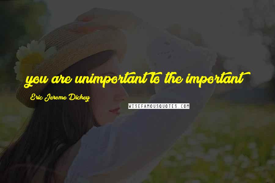 Eric Jerome Dickey Quotes: you are unimportant to the important!