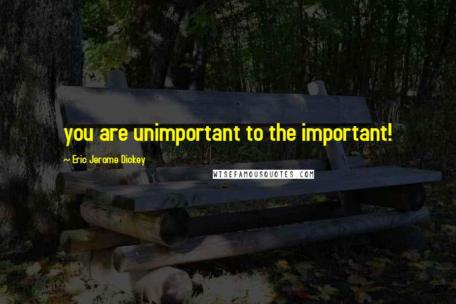 Eric Jerome Dickey Quotes: you are unimportant to the important!
