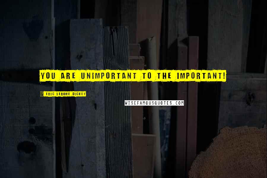 Eric Jerome Dickey Quotes: you are unimportant to the important!
