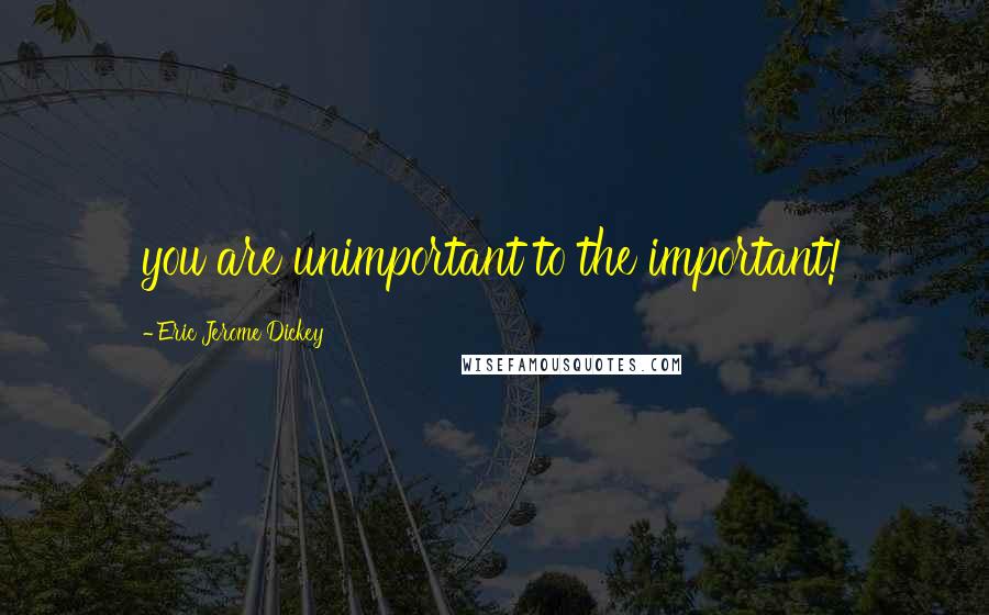 Eric Jerome Dickey Quotes: you are unimportant to the important!