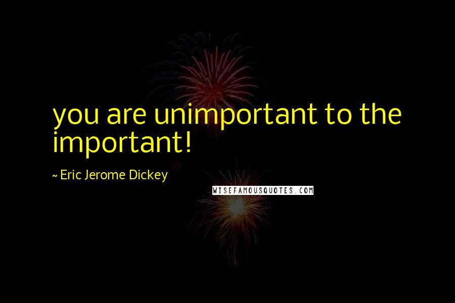 Eric Jerome Dickey Quotes: you are unimportant to the important!