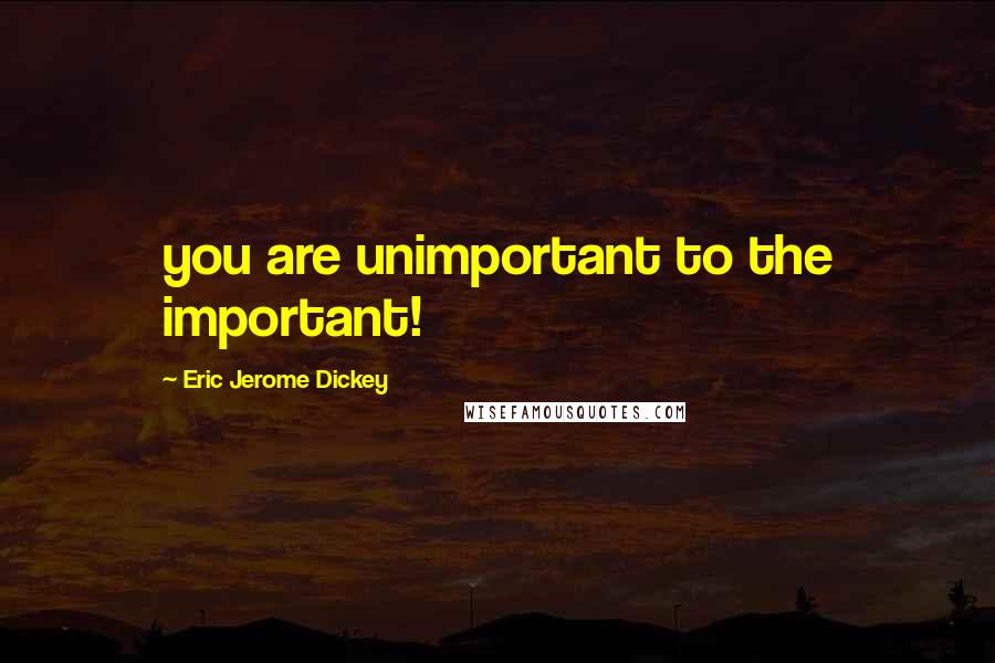 Eric Jerome Dickey Quotes: you are unimportant to the important!