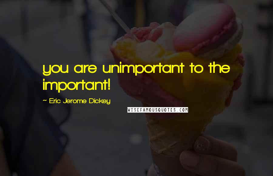Eric Jerome Dickey Quotes: you are unimportant to the important!