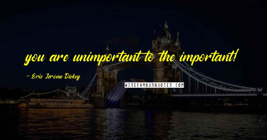 Eric Jerome Dickey Quotes: you are unimportant to the important!