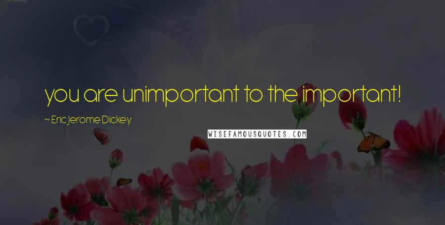 Eric Jerome Dickey Quotes: you are unimportant to the important!