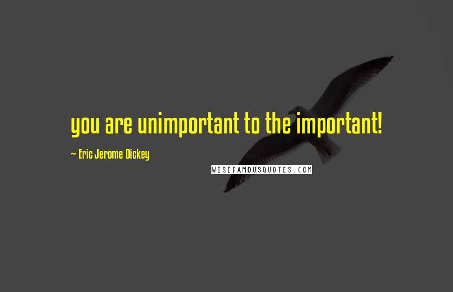Eric Jerome Dickey Quotes: you are unimportant to the important!