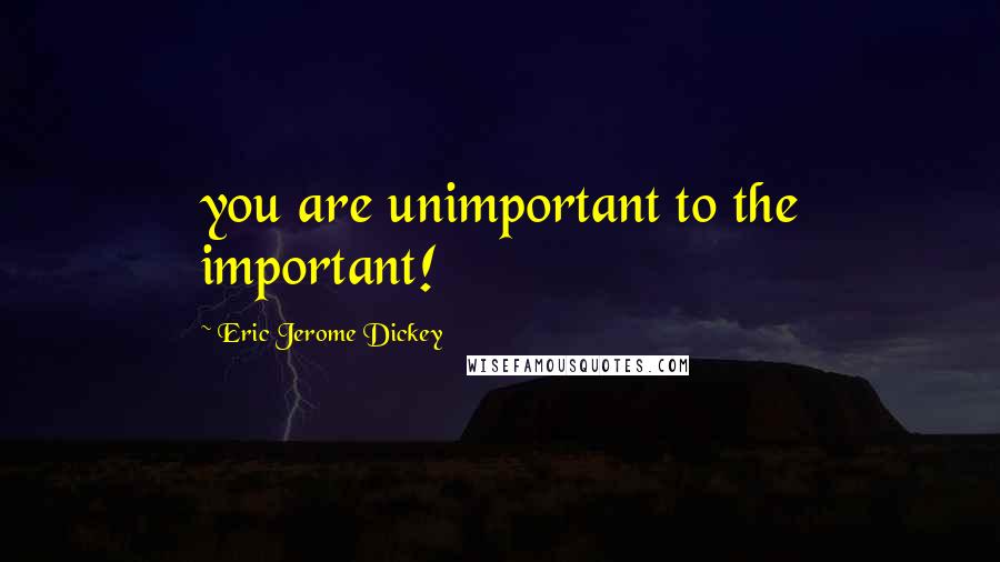 Eric Jerome Dickey Quotes: you are unimportant to the important!