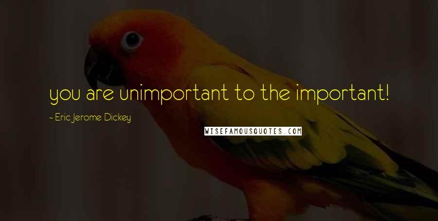 Eric Jerome Dickey Quotes: you are unimportant to the important!