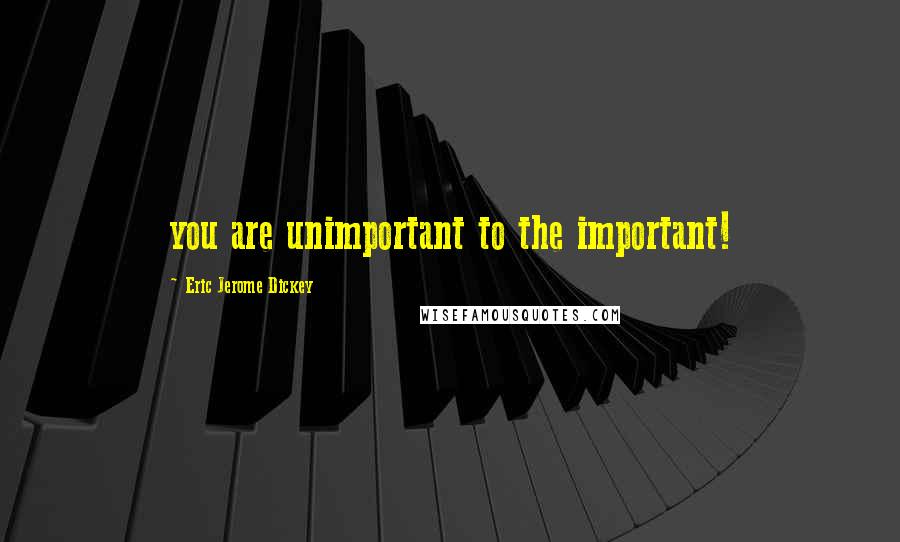 Eric Jerome Dickey Quotes: you are unimportant to the important!