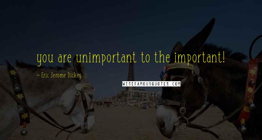 Eric Jerome Dickey Quotes: you are unimportant to the important!