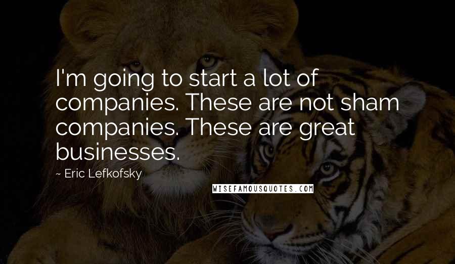 Eric Lefkofsky Quotes: I'm going to start a lot of companies. These are not sham companies. These are great businesses.