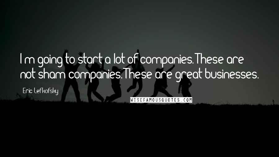 Eric Lefkofsky Quotes: I'm going to start a lot of companies. These are not sham companies. These are great businesses.