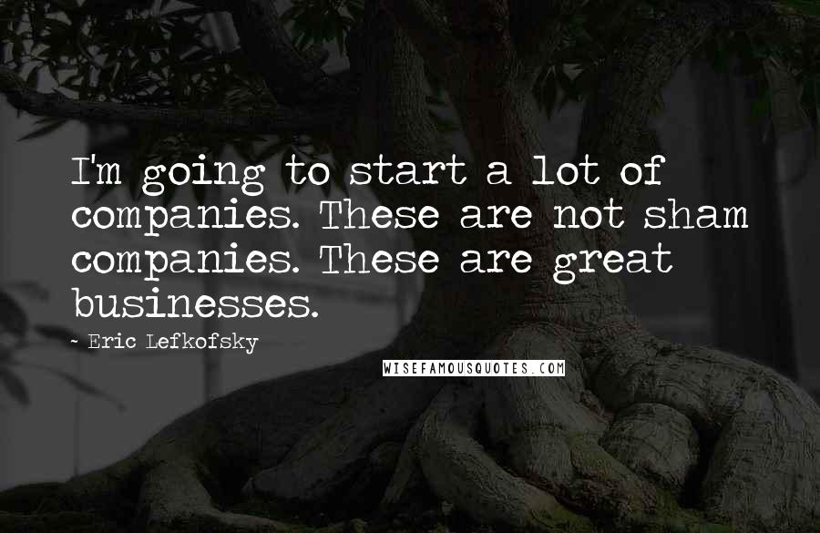 Eric Lefkofsky Quotes: I'm going to start a lot of companies. These are not sham companies. These are great businesses.