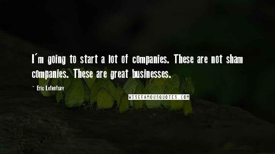 Eric Lefkofsky Quotes: I'm going to start a lot of companies. These are not sham companies. These are great businesses.