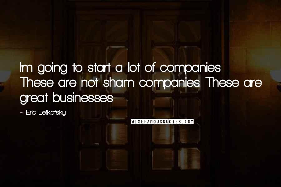 Eric Lefkofsky Quotes: I'm going to start a lot of companies. These are not sham companies. These are great businesses.
