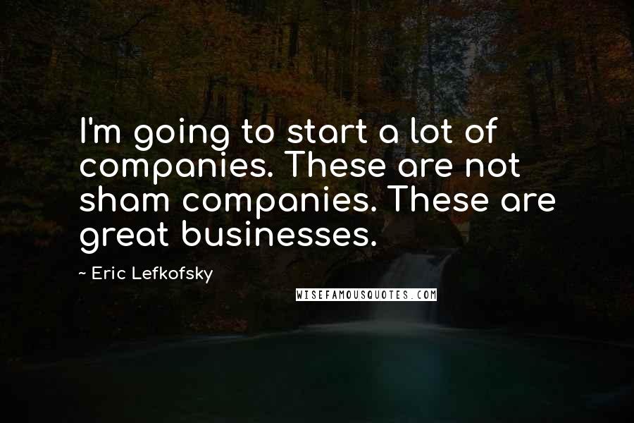 Eric Lefkofsky Quotes: I'm going to start a lot of companies. These are not sham companies. These are great businesses.