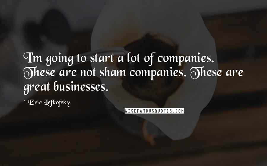 Eric Lefkofsky Quotes: I'm going to start a lot of companies. These are not sham companies. These are great businesses.