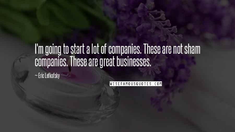 Eric Lefkofsky Quotes: I'm going to start a lot of companies. These are not sham companies. These are great businesses.