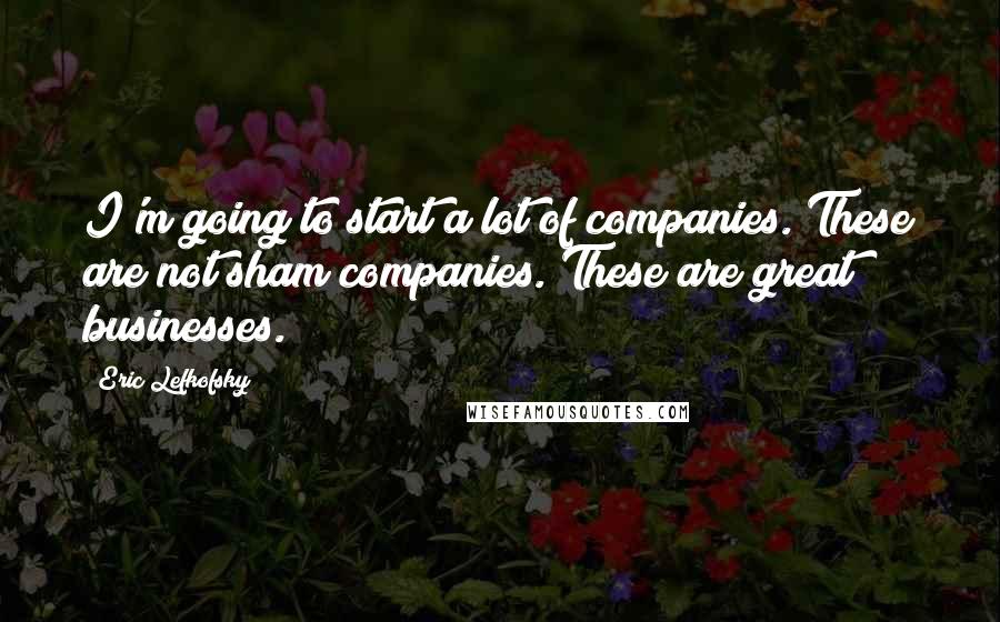 Eric Lefkofsky Quotes: I'm going to start a lot of companies. These are not sham companies. These are great businesses.