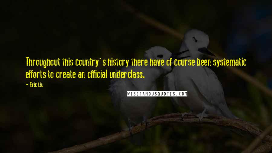 Eric Liu Quotes: Throughout this country's history there have of course been systematic efforts to create an official underclass.