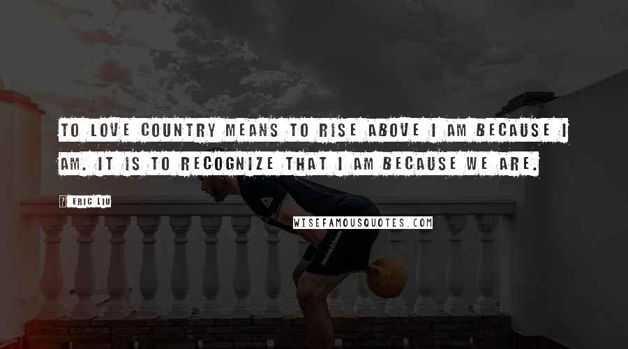 Eric Liu Quotes: To love country means to rise above I am because I am. It is to recognize that I am because we are.
