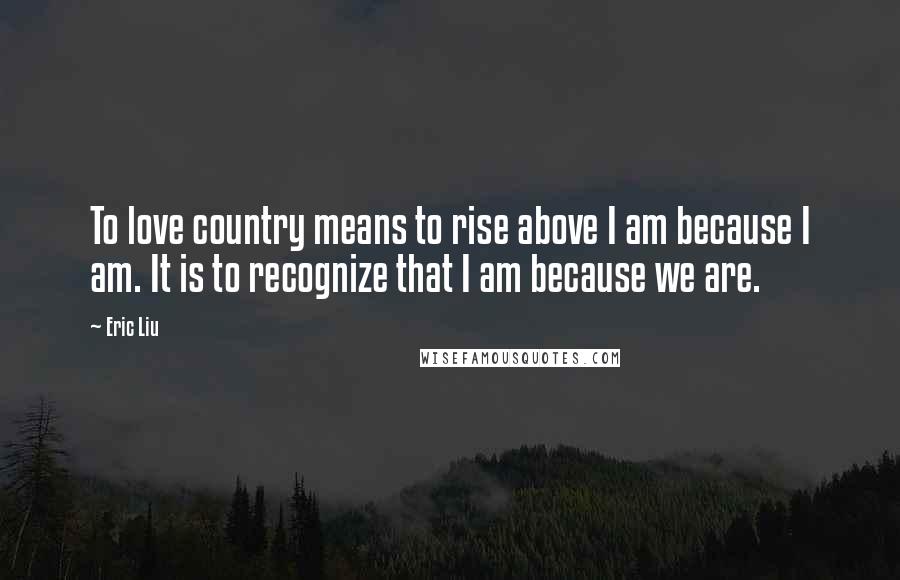 Eric Liu Quotes: To love country means to rise above I am because I am. It is to recognize that I am because we are.
