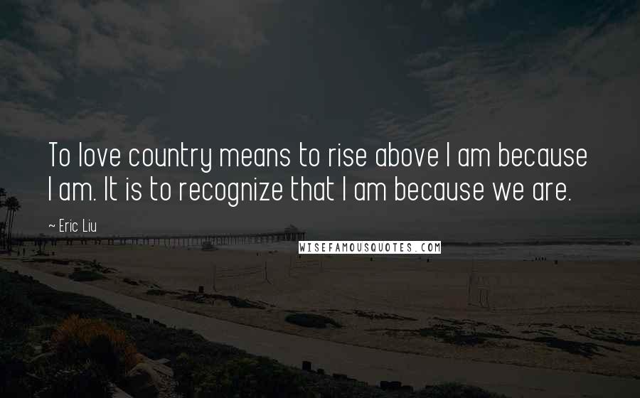 Eric Liu Quotes: To love country means to rise above I am because I am. It is to recognize that I am because we are.