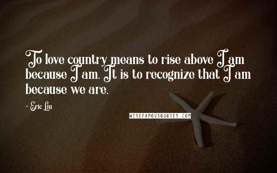 Eric Liu Quotes: To love country means to rise above I am because I am. It is to recognize that I am because we are.