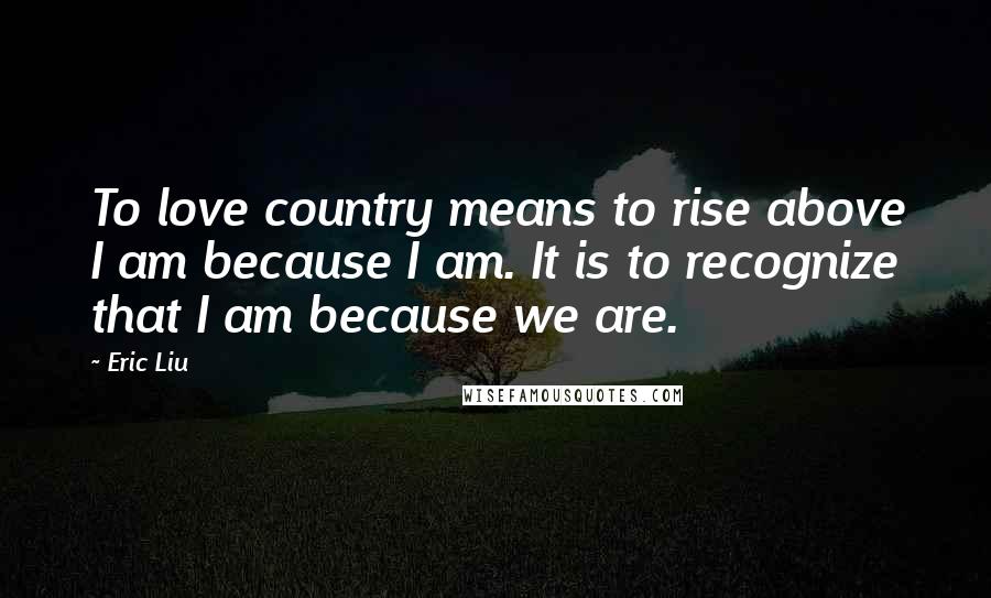 Eric Liu Quotes: To love country means to rise above I am because I am. It is to recognize that I am because we are.