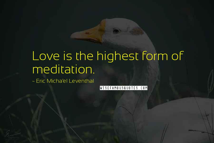 Eric Micha'el Leventhal Quotes: Love is the highest form of meditation.