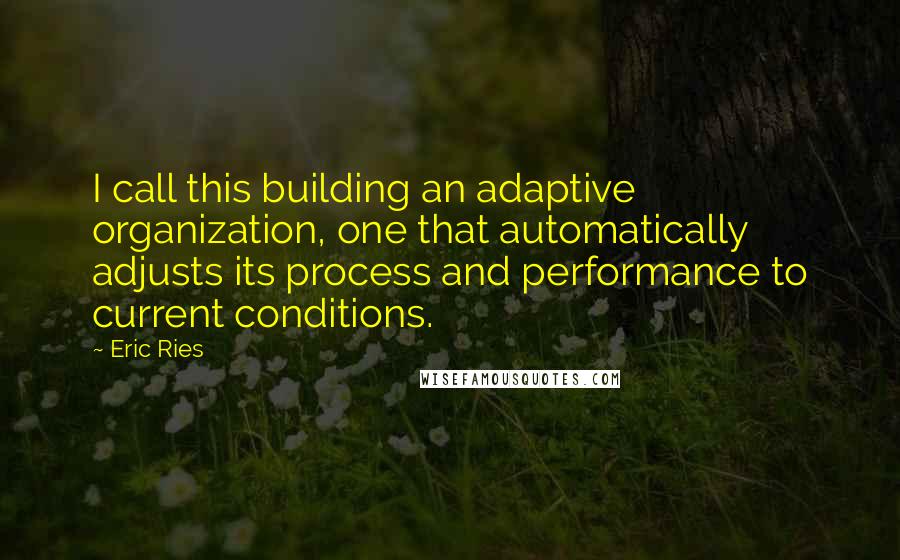 Eric Ries Quotes: I call this building an adaptive organization, one that automatically adjusts its process and performance to current conditions.