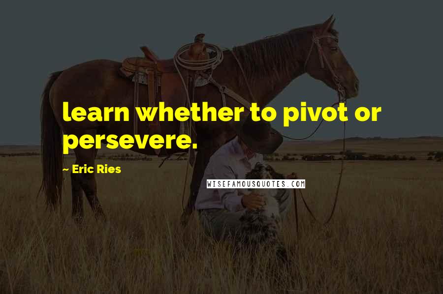 Eric Ries Quotes: learn whether to pivot or persevere.