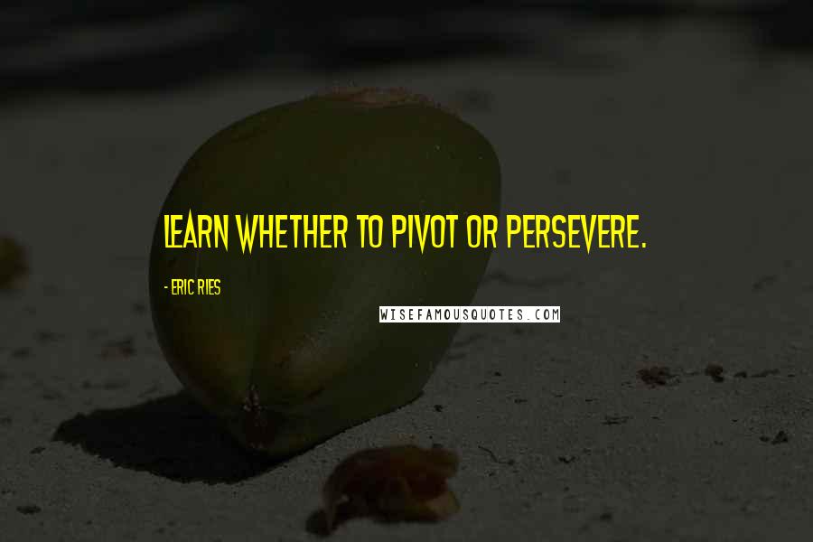 Eric Ries Quotes: learn whether to pivot or persevere.