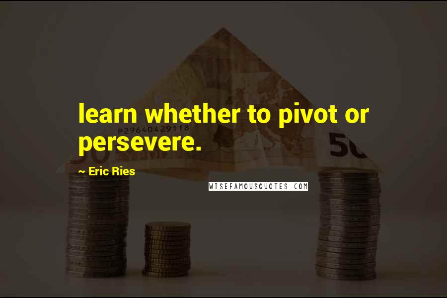 Eric Ries Quotes: learn whether to pivot or persevere.