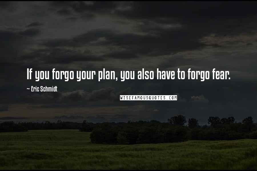 Eric Schmidt Quotes: If you forgo your plan, you also have to forgo fear.